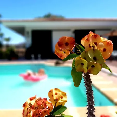 Fondos Costa Del Silencio